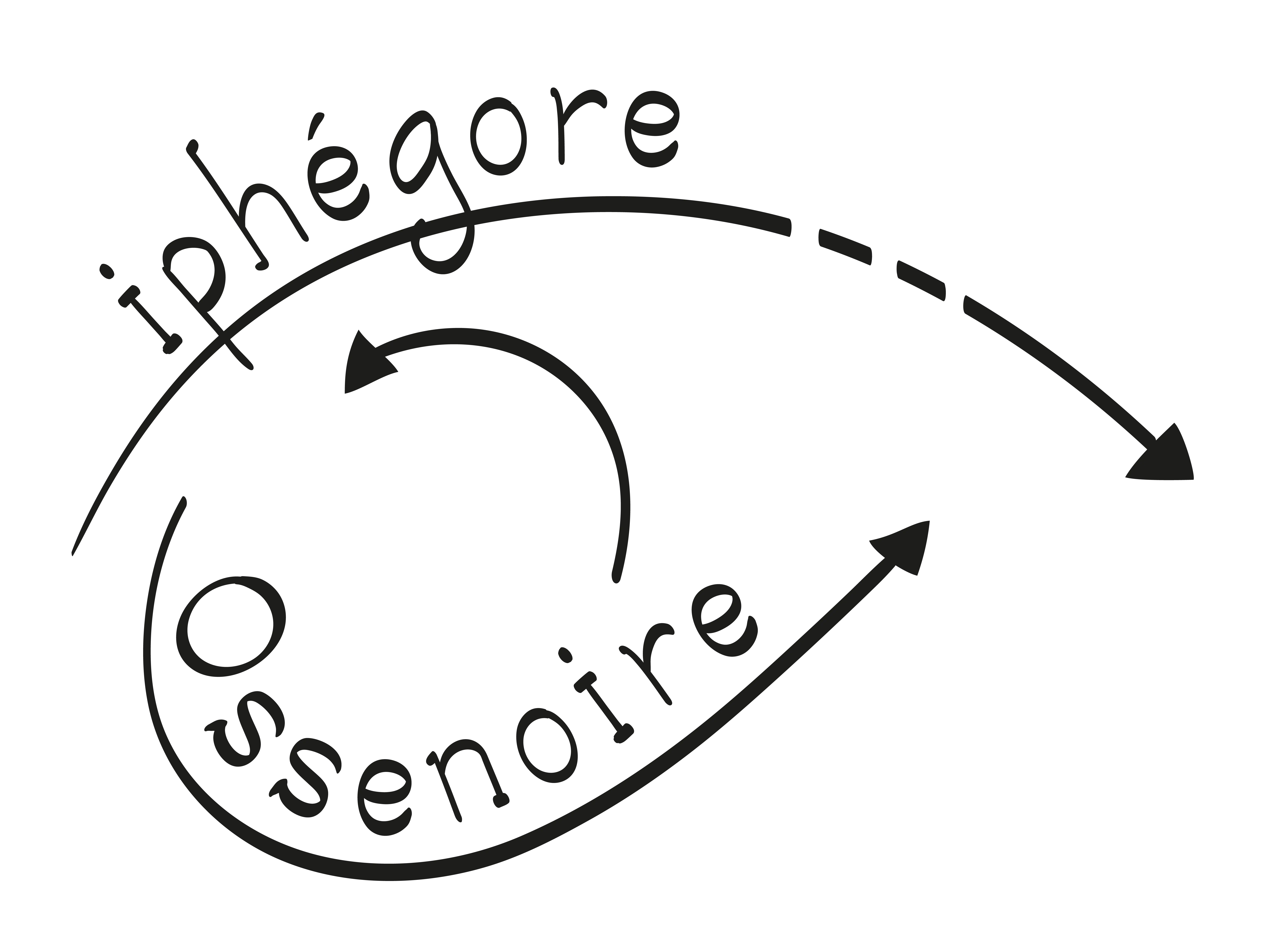 Iphégore Ossenoire logo